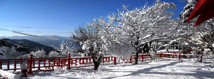 1835/Shiva Cottage - Patnitop 09.jpg